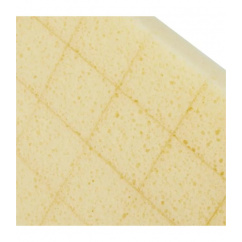 Sponge board 28 x 14 cm rasterized