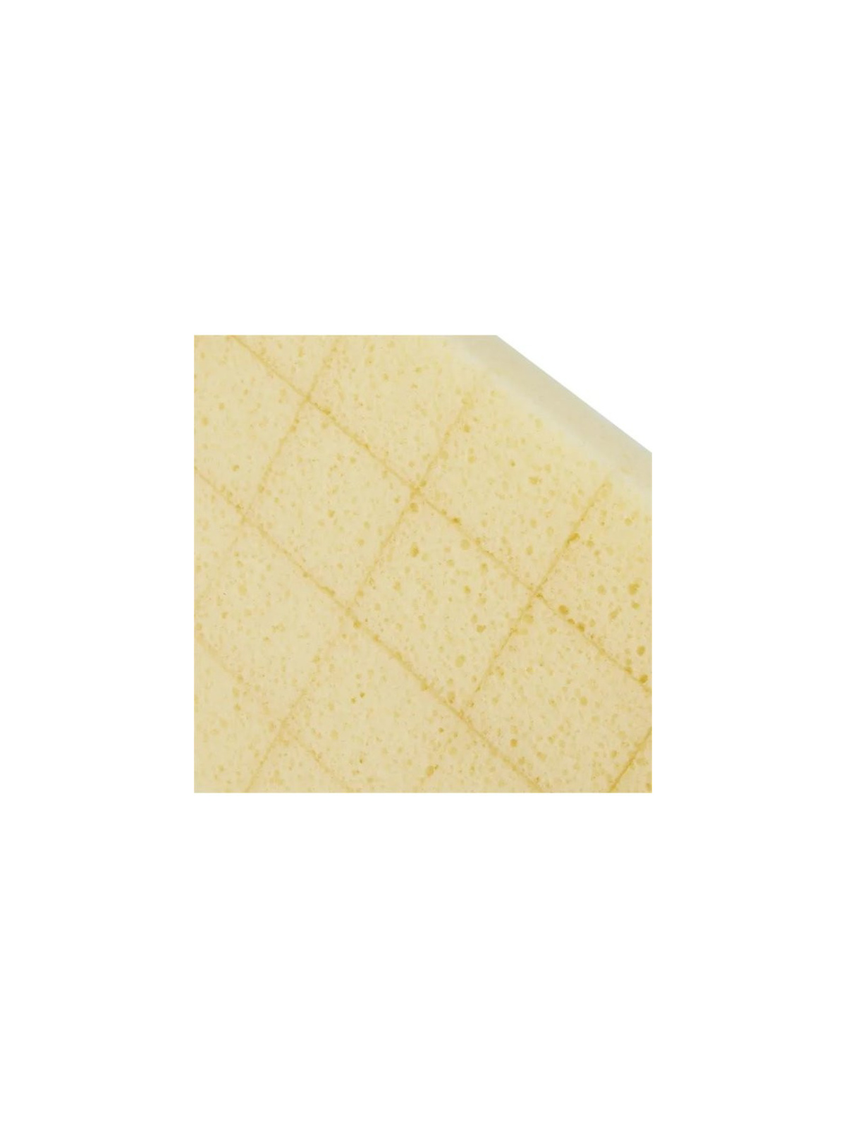 HUFA Sponge board 28 x 14 cm rasterized | JVL-Europe