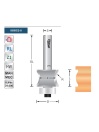 Profile cutter SBBC2 | Titman Tools