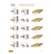 Mes en groef wisselmes freeskop set Asgat 30mm | Stark