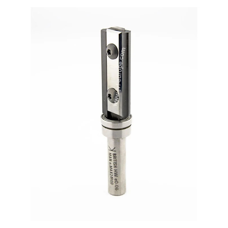 Pattern bit with replaceable knives L50/4 Z2 D19 L50 S12mm | Titman Tools